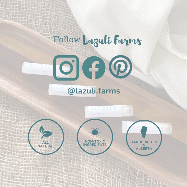 881-01 Tallow & Beeswax Blemish Stick - Lazuli Farms