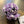 Load image into Gallery viewer, 096-11 Mini Octopus - Willing Hands Crochet
