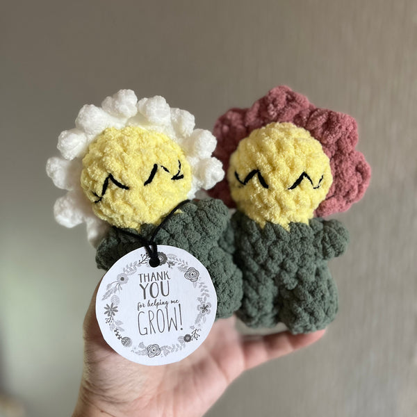 096-03 Plants - Willing Hands Crochet