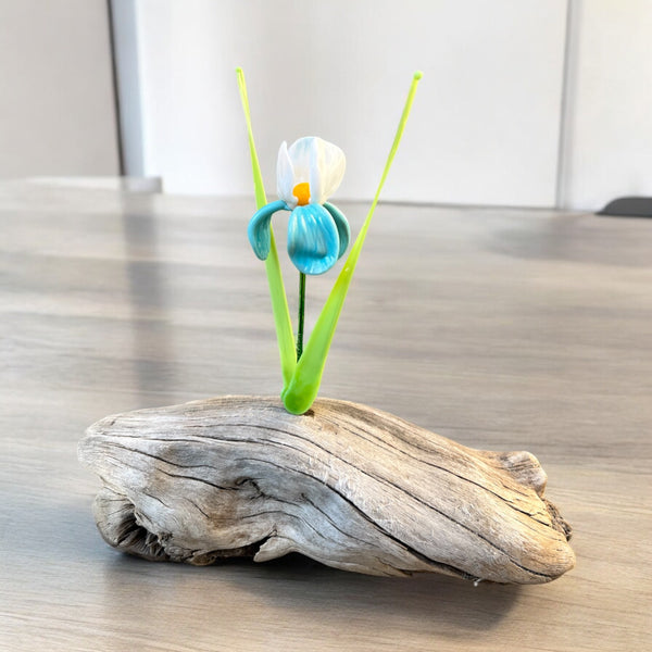 127-01 Glass Flowers on Driftwood - Gaia's Glasswear