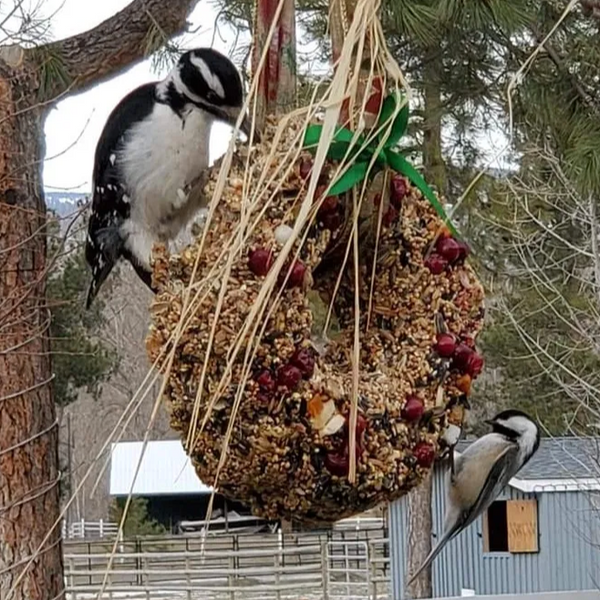 137-01 Mixed Seed Round Wreath - Birdie Numnum