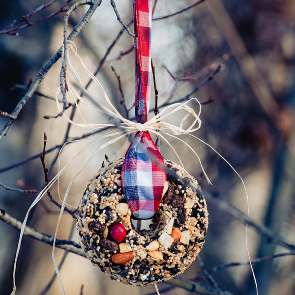 137-01 Mixed Seed Round Wreath - Birdie Numnum