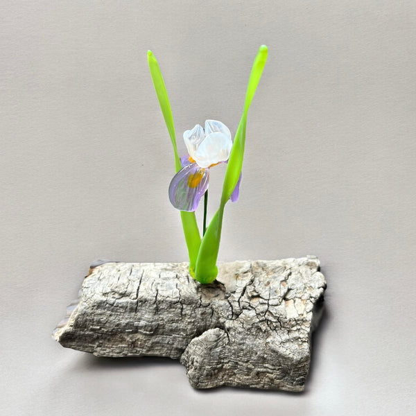 127-01 Glass Flowers on Driftwood - Gaia's Glasswear