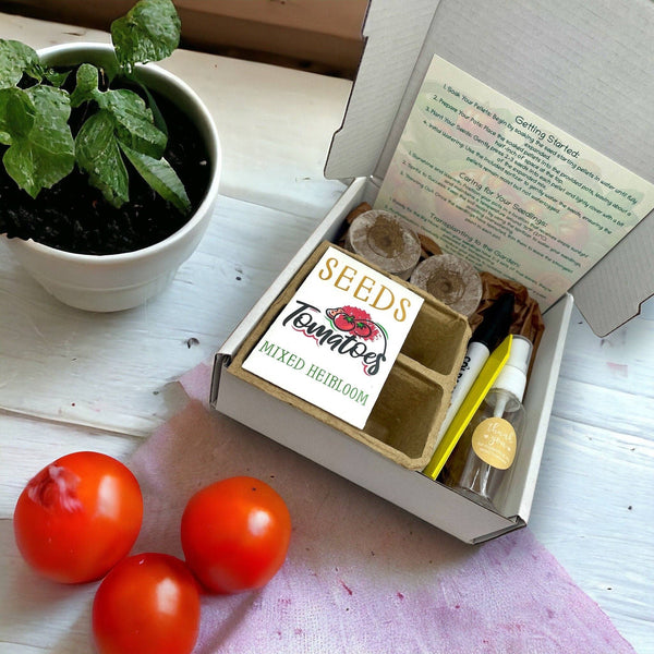 859-03 Heirloom Tomato Starter Kit - Fuschia Designs Shop