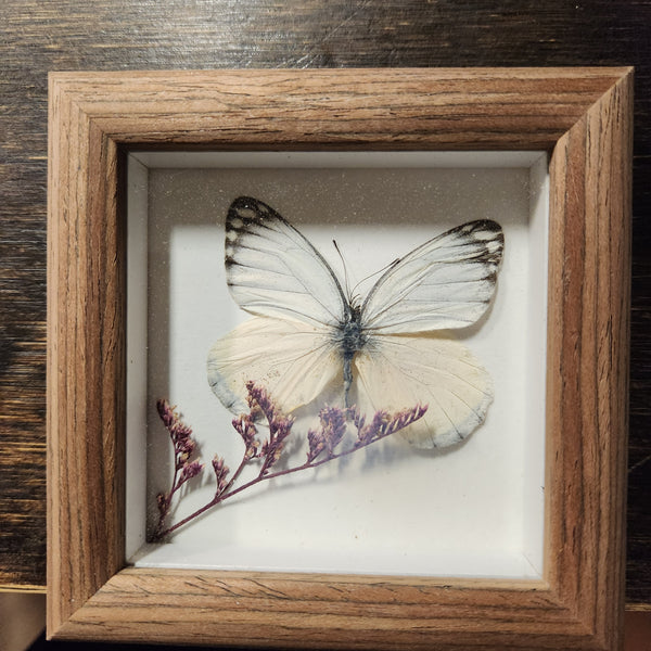 136-01 Butterfly Floral Art - Bespoke YEG