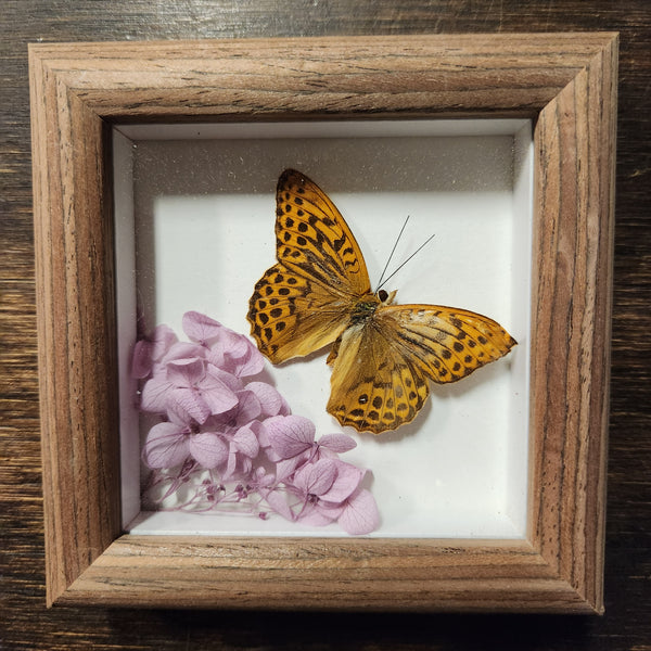 136-01 Butterfly Floral Art - Bespoke YEG