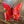 Load image into Gallery viewer, 119-12 Small Butterfly - Just art by Mark
