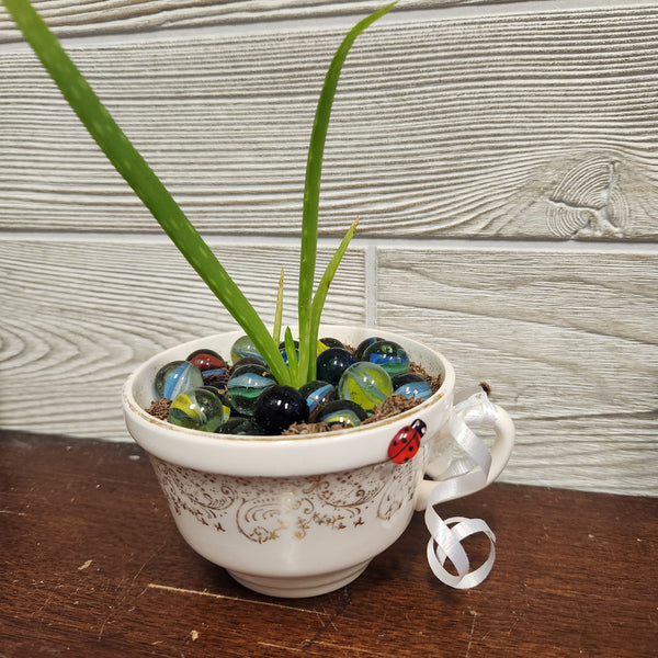 007-80 Potted Plants - Ladybug Blossoms